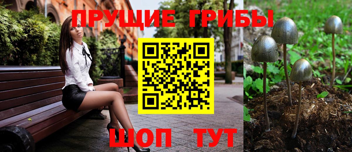 Галлюциногенные грибы Psilocybe Полевской